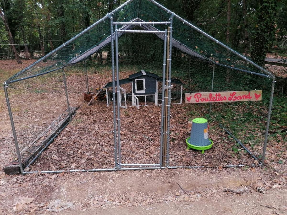 7-Gite-7 Personnes Au Coeur De La Nature /Piscine Saint-Aubin-de-Nabirat Zewnętrze zdjęcie